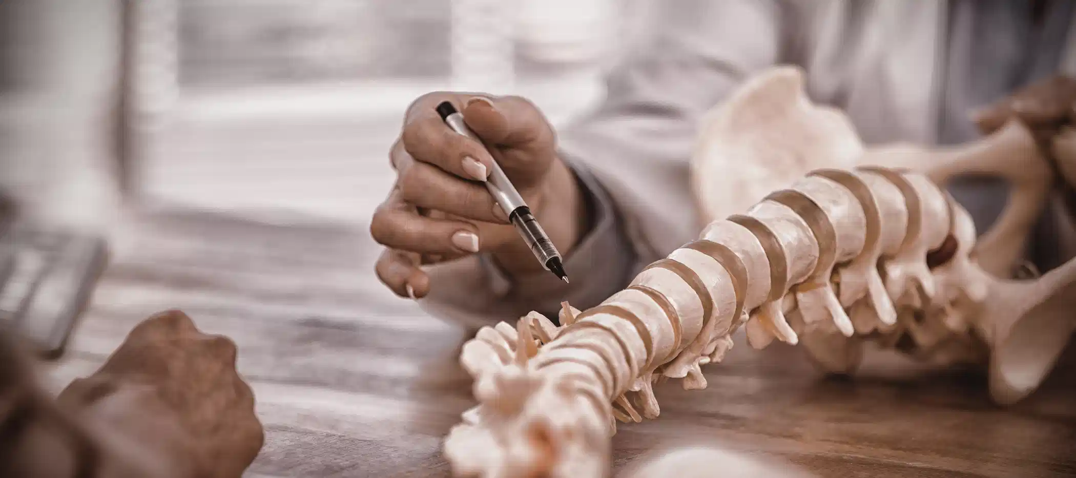 Articulación con MSC de cordón umbilical y exosomas