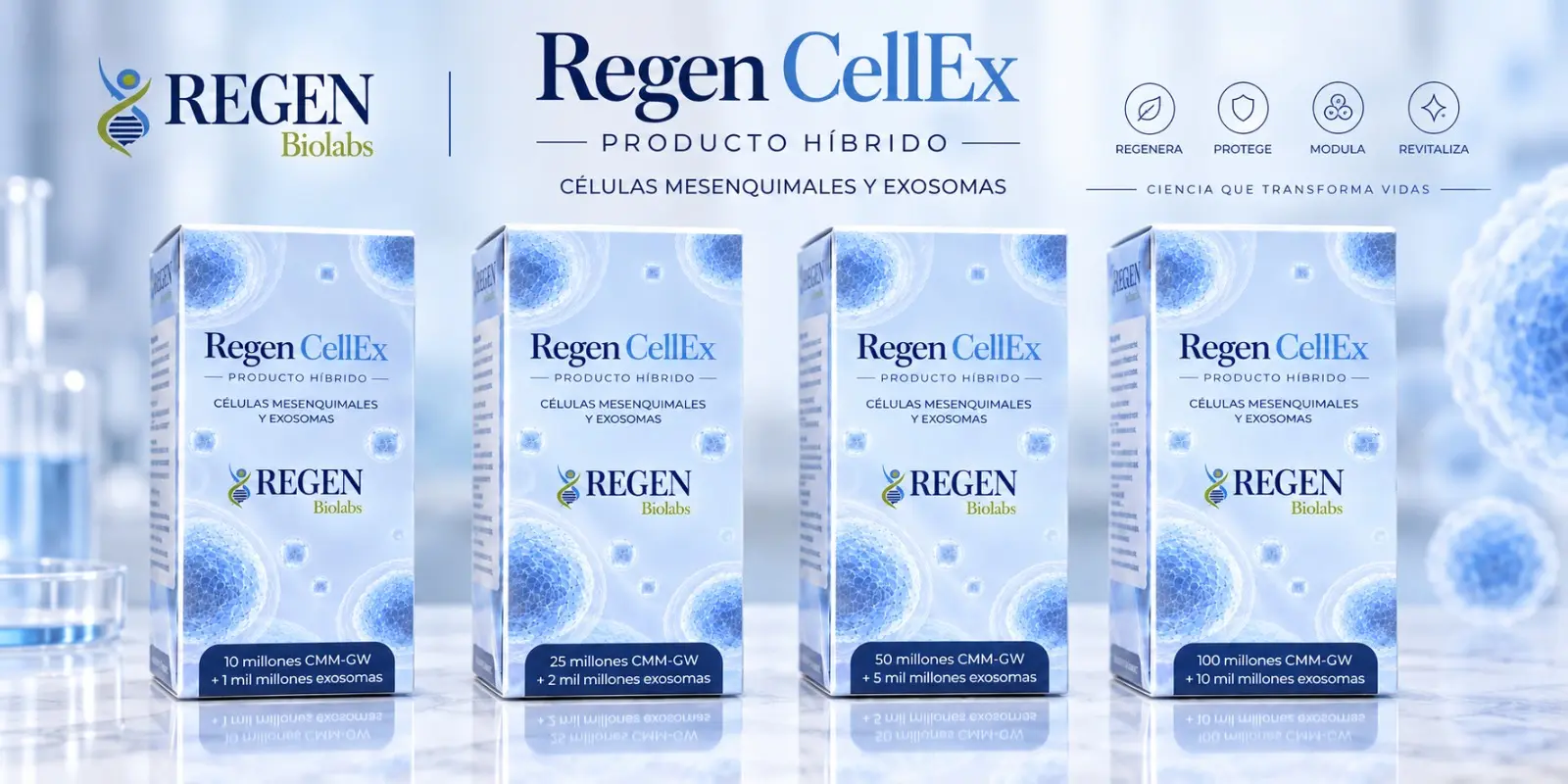 Producto Híbrido MSC + Exosomas