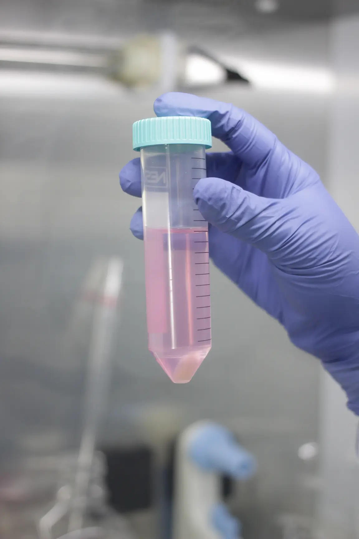 Instalación del laboratorio