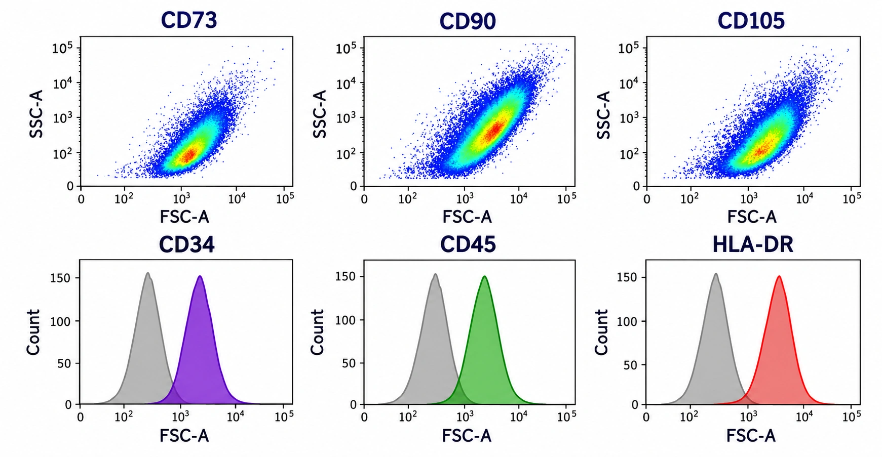 product-pages.msc.cytometry-image-alt